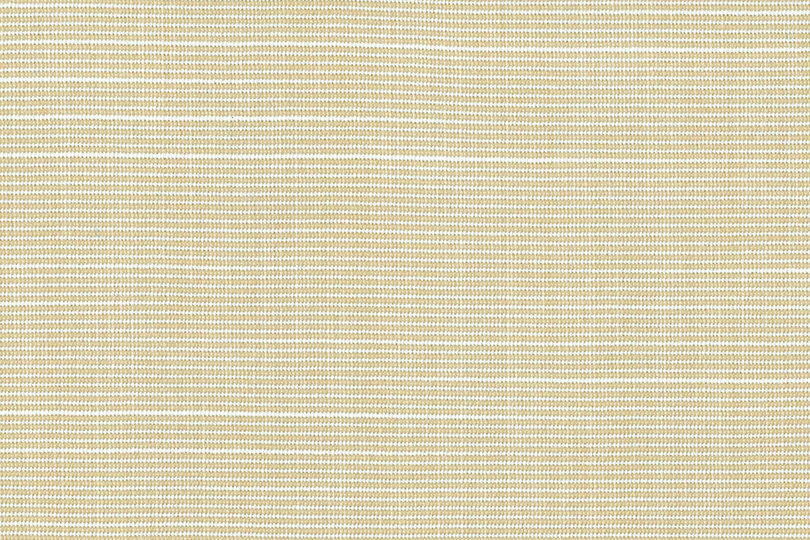 791 shops beige